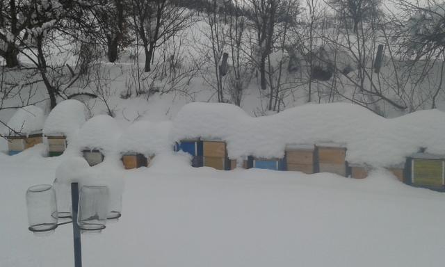 ZIMA, ZIMA E PA ŠTA JE